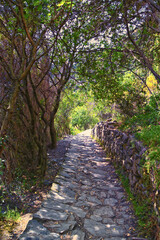 
Cinque Terre views of hiking trail along seaside villages on the Italian Riviera coastline. Liguria, Italy, Europe. 2023 Summer. 