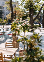 Tranquil outdoor cafe setting with blooming roses and wooden furniture.