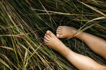 Bare feet of a child nestled in natural, wild grass, capturing a moment of connection with nature.