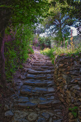 
Cinque Terre views of hiking trail along seaside villages on the Italian Riviera coastline. Liguria, Italy, Europe. 2023 Summer. 