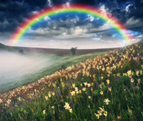 colorful rainbow over the meadow in the morning with grass and flowers. nature of Ukraine