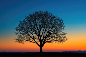 Silhouette of a lone tree at sunset