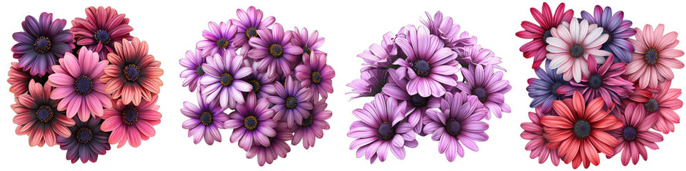 African Daisy Flower Pile Of Heap Of Piled Up Together  Hyperrealistic Highly Detailed Isolated On Transparent Background Png File