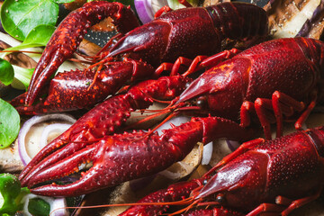 Crayfish seafood