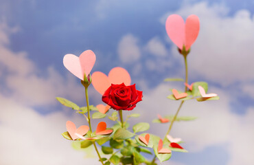  Banner of rose with hearts on its leaves against a sky background. Concept of romance, love, Valentine's Day. Copyspace.......