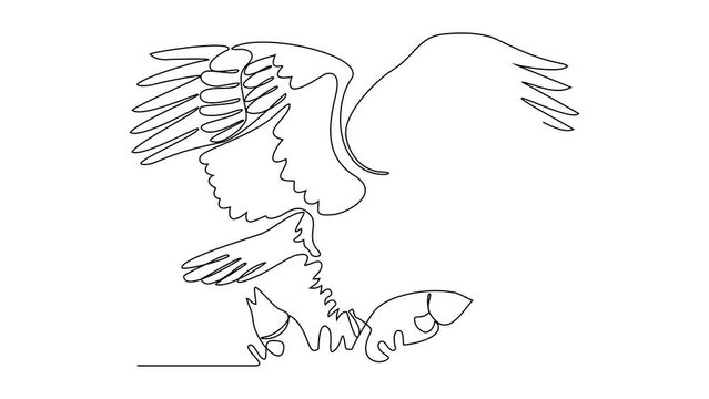 Animated self drawing of an eagle is preying on fish in the sea video illustration. wild animal illustration simple linear style video concept. wild animal vector activity for asset design.