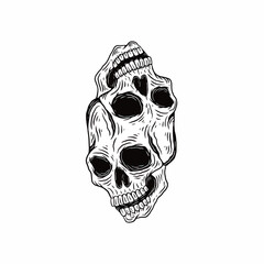 two skull  isolated in white