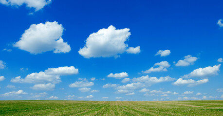 field with blue sky and white fluffy cumulus humilis fair weather clouds, Bavaria, Germany, Europe