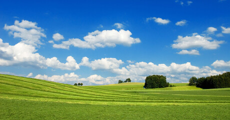 green mowed meadow, blue sky, white fair weather clouds, landscape near village Berg, Starnberg...