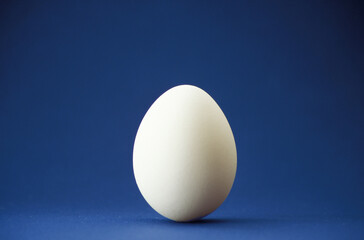 closeup of one single hen´s egg, chicken egg, standing on blue surface and background