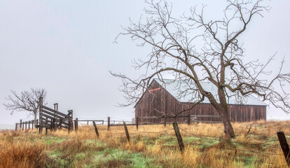 Working barn with cattle ramp on foggy day