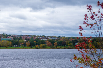 UNB Campus in the fall