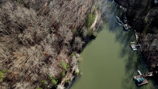 Stagnant water and bare trees surround creek off Lake Wylie