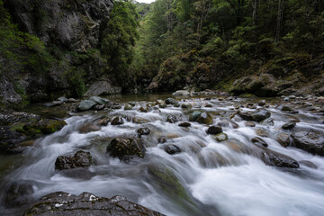 Fototapeta na wymiar Waterfall and river in a forest in New Zealand
