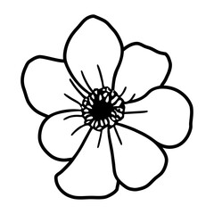 Hand drawn simple flower illustration