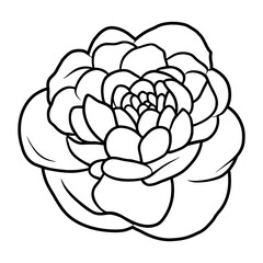 Hand drawn simple flower illustration