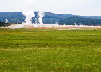 Steam rising from various geysers in the Upper Geyser Basin in Yellowstone National Park