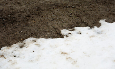 Winter wonderland: Snow blankets plants and streets in a serene scene, creating a peaceful and magical atmosphere