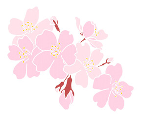 桜の花のカットイラスト素材　春の装飾　