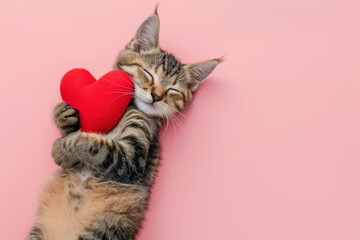 Cute tabby kitten hugging red heart pillow. Cat lying on a back on pink background in top view. Love concept for Valentine's Day. Cat showing belly. For greeting card, banner, postcard, ad, poster - obrazy, fototapety, plakaty