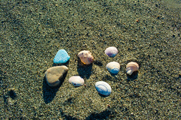 中田島砂丘のシーグラスと貝殻と石