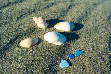 中田島砂丘の貝殻とシーグラスと石