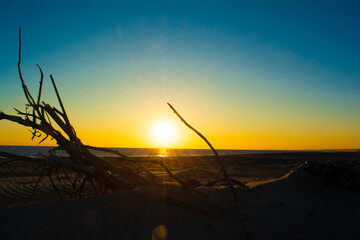 中田島砂丘の夕陽と流木