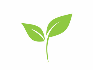 Eco icon green leaf vector illustration isolated on white