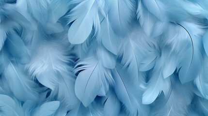 Beautiful abstract color blue feathers on white background and blue feather texture on blue pattern and blue background - obrazy, fototapety, plakaty