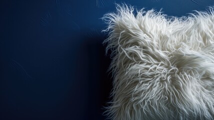 Shaggy white rug on a dark blue background, creating texture contrast