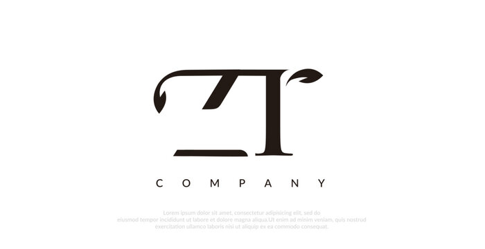 Initial ZT Logo Design Vector 