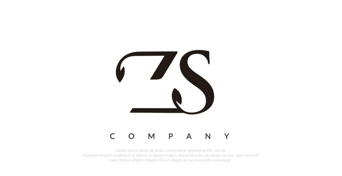 Initial ZS Logo Design Vector 