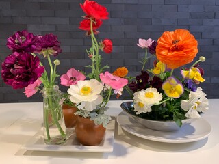 ラナンキュラス