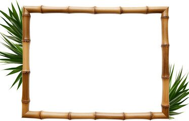 Bamboo frame isolated on transparent background. PNG