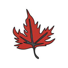 hand drawn bear, fox, deer, own autumn animal . autumn doodles isolated on white background