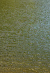 Texture of contaminated river water. The consequences of pollution sources