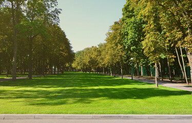Green and orange trees in beautiful park. Floral and natural autumn landscape
