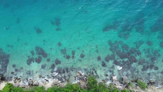 Turquoise reef water meets a rocky Oslob shoreline in Cebu with shallow coral patches small waves and tropical trees along the coast