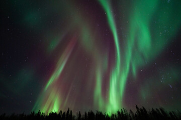 Aurora Borealis, Northern Lights, at Yellowknife, Northwest Territories, Canada © momo11353