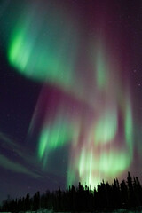 Aurora Borealis, Northern Lights, at Yellowknife, Northwest Territories, Canada