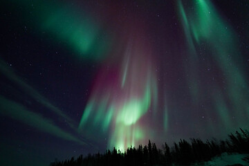 Aurora Borealis, Northern Lights, at Yellowknife, Northwest Territories, Canada