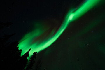 Aurora Borealis, Northern Lights, at Yellowknife, Northwest Territories, Canada