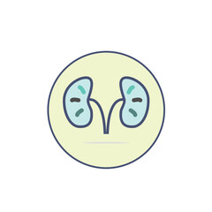 human kidney logo vector icon