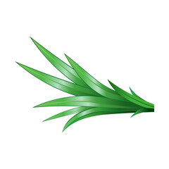 Make a Professional Green Pandan Leaves Vector