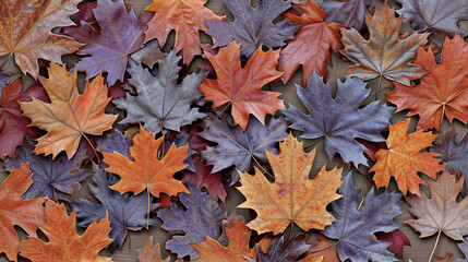 Naklejka na ściany i meble maple leaves
