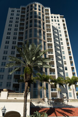 Fototapeta na wymiar Tall palm trees next to skyscrapers in St Petersburg downtown - 2