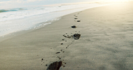 Footprints in sand, beach and ocean with sunrise, light and environment, travel and closeup with tropical landscape. Sun, nature and sea, waves and destination for vacation, outdoor and mockup space