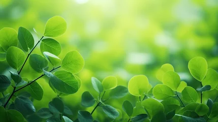Gardinen Closeup beautiful nature view of green leaf on blurred greenery background in garden with copy space using as background natural green plants landscape, ecology, fresh wallpaper concept. Generative Ai © mangsi