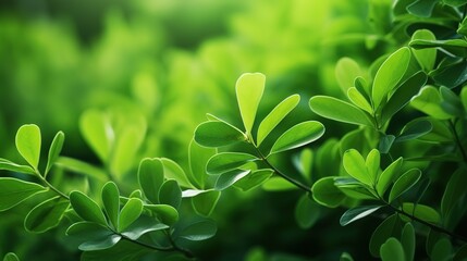  Closeup beautiful nature view of green leaf on blurred greenery background in garden with copy space using as background natural green plants landscape, ecology, fresh wallpaper concept. Generative A - obrazy, fototapety, plakaty