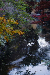 nature in tokyo from autumn to winter.
specially we have it at west side of tokyo.
